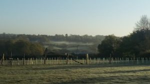 Boundary dispute service Sussex